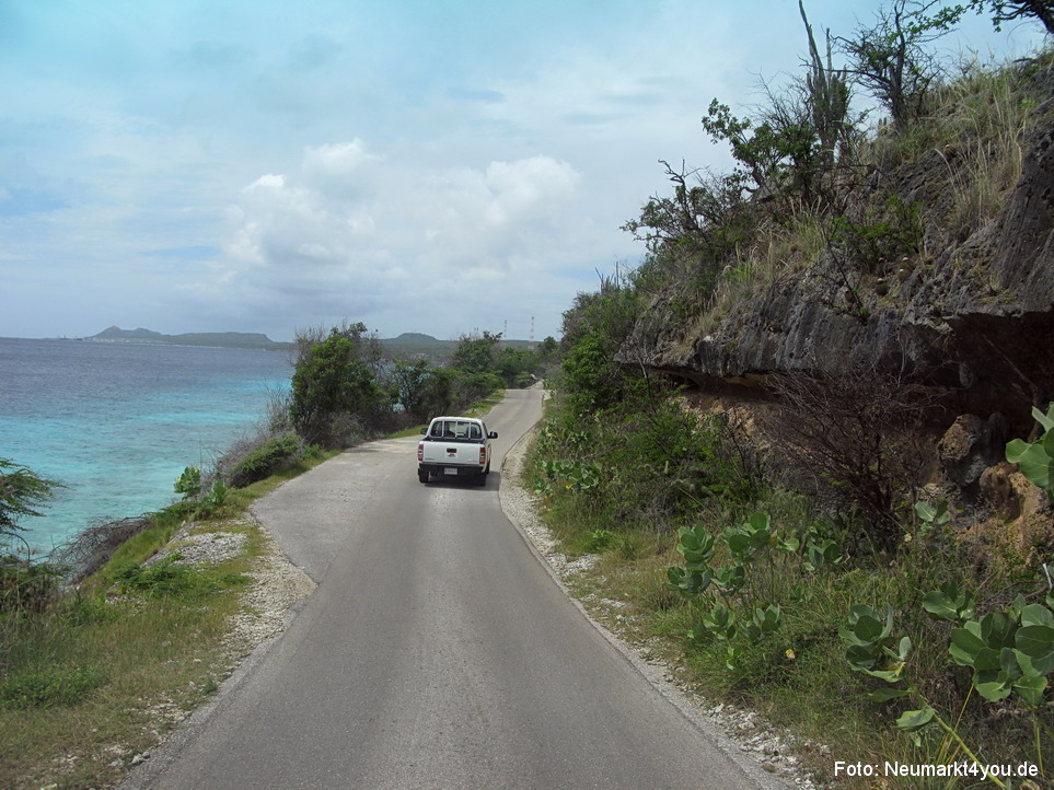 0035 Insel Bonaire 2009